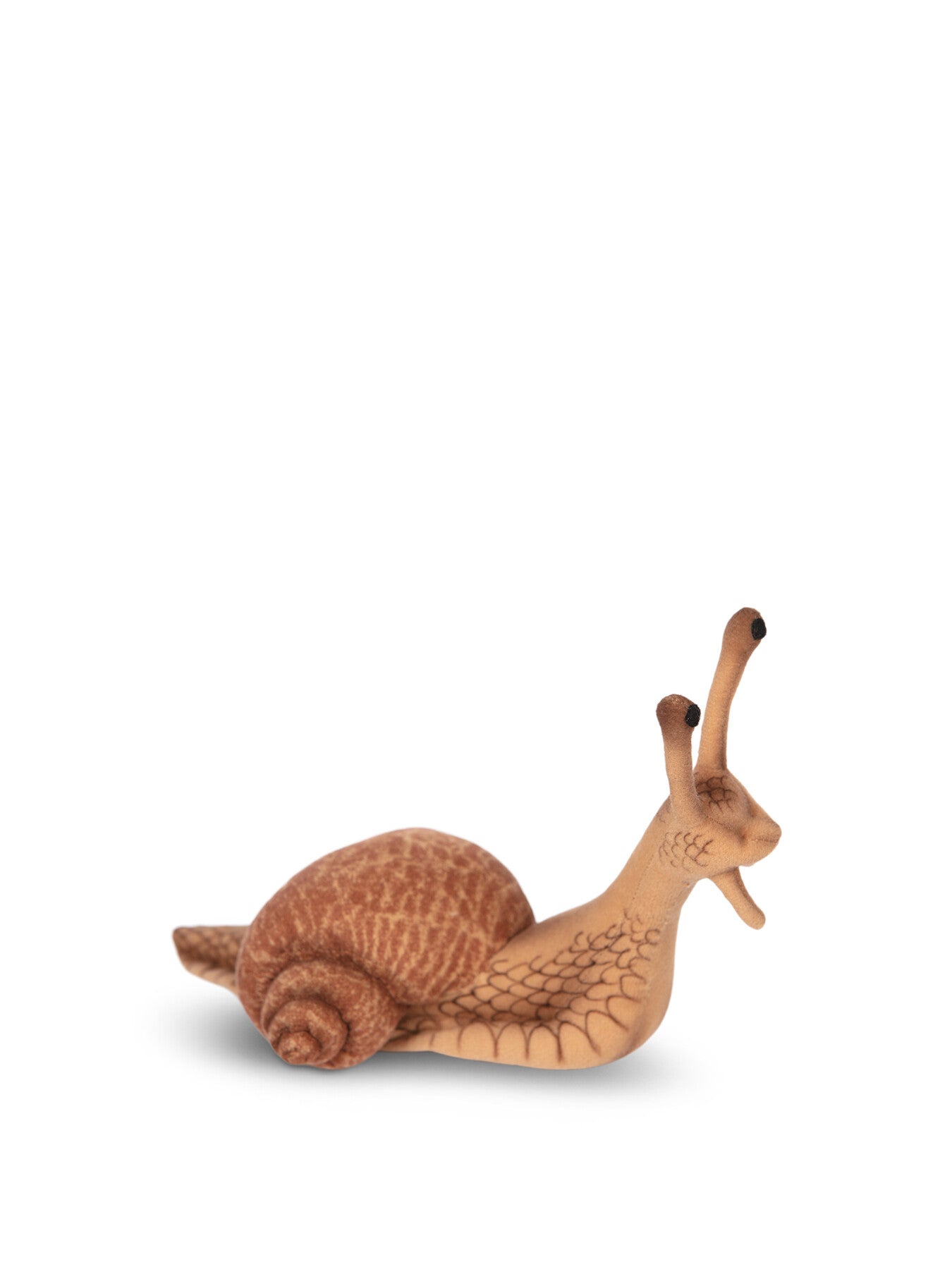 Escargot (Snail)