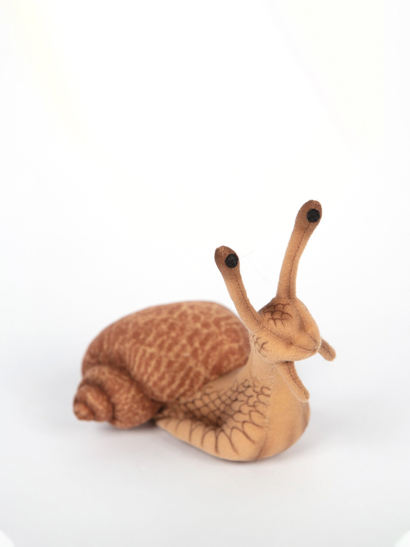 Escargot (Snail)