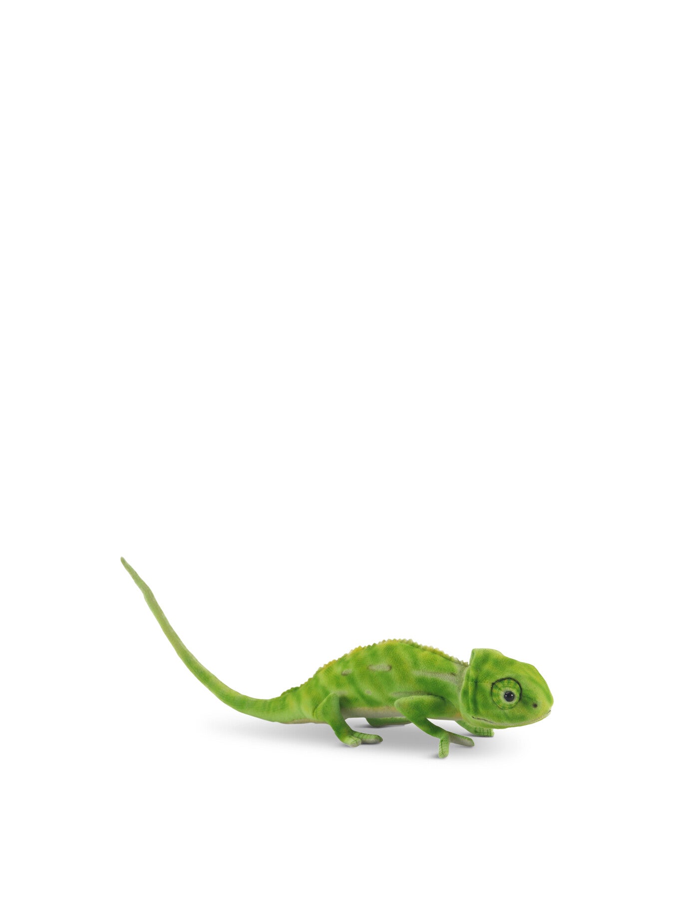 Chameleon