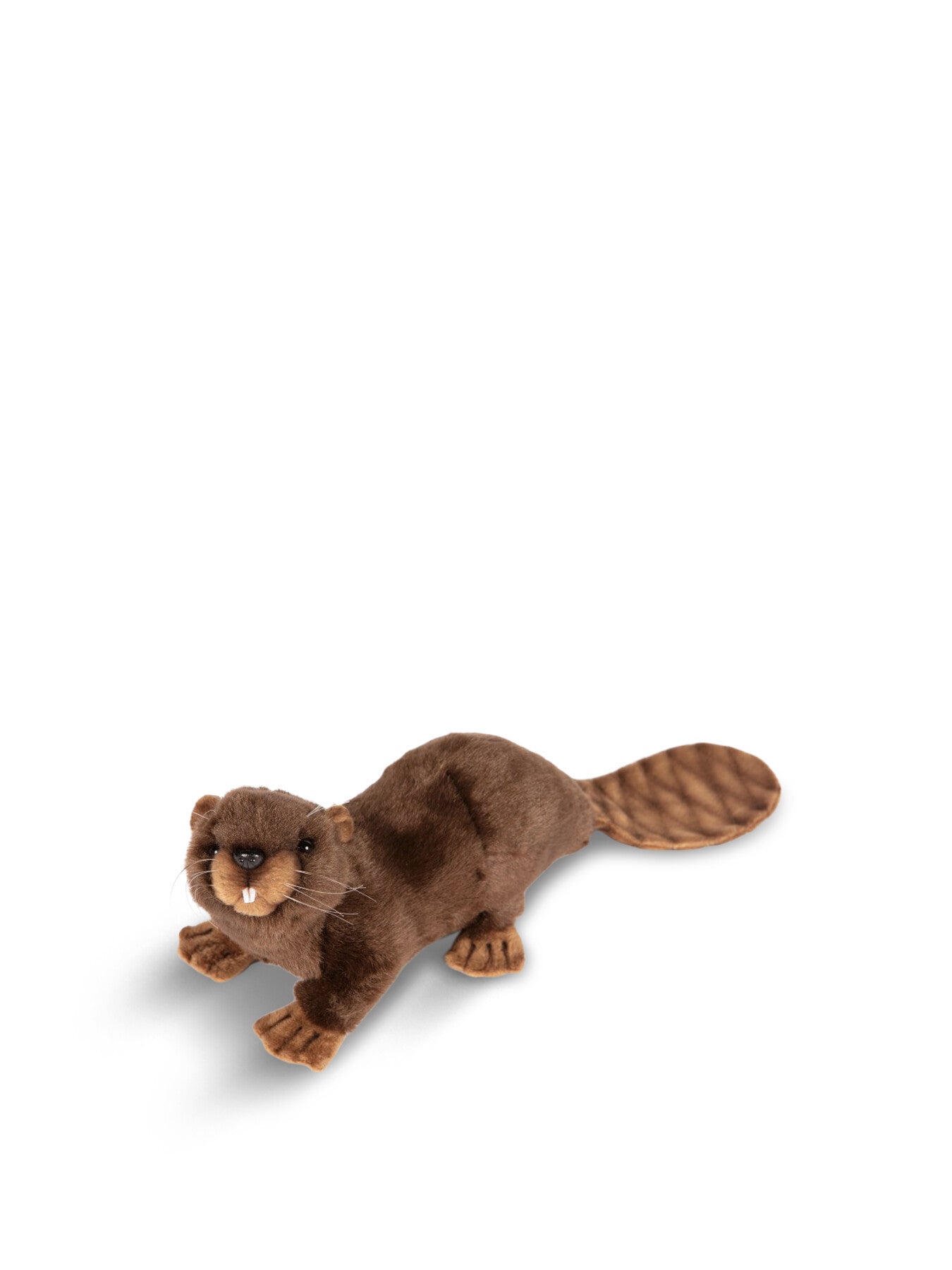 Beaver