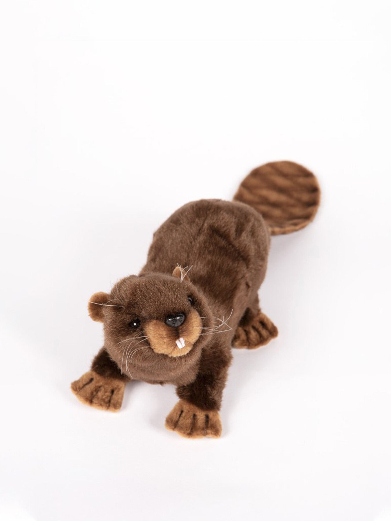 Beaver