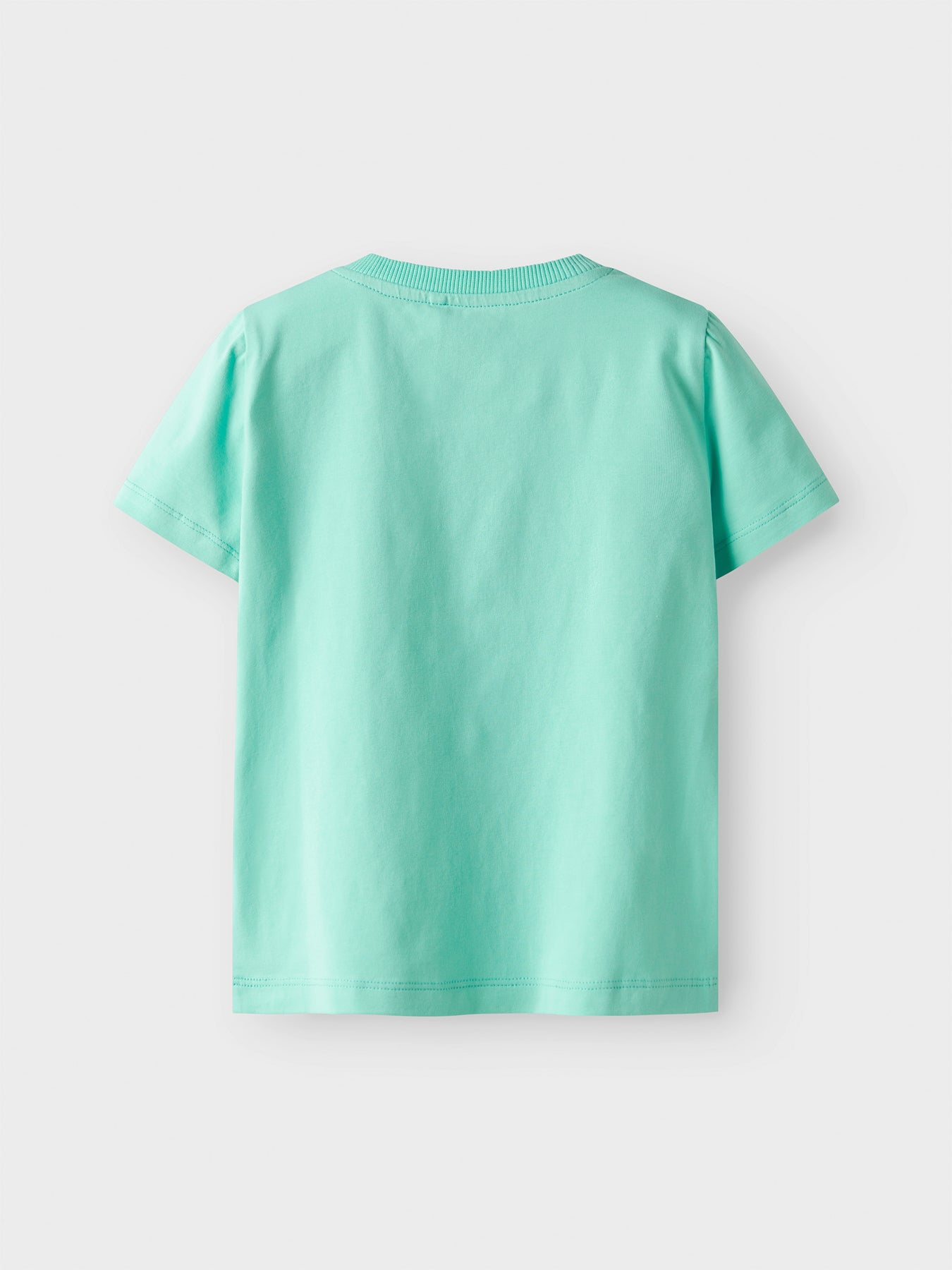 Regular Fit T-Shirt