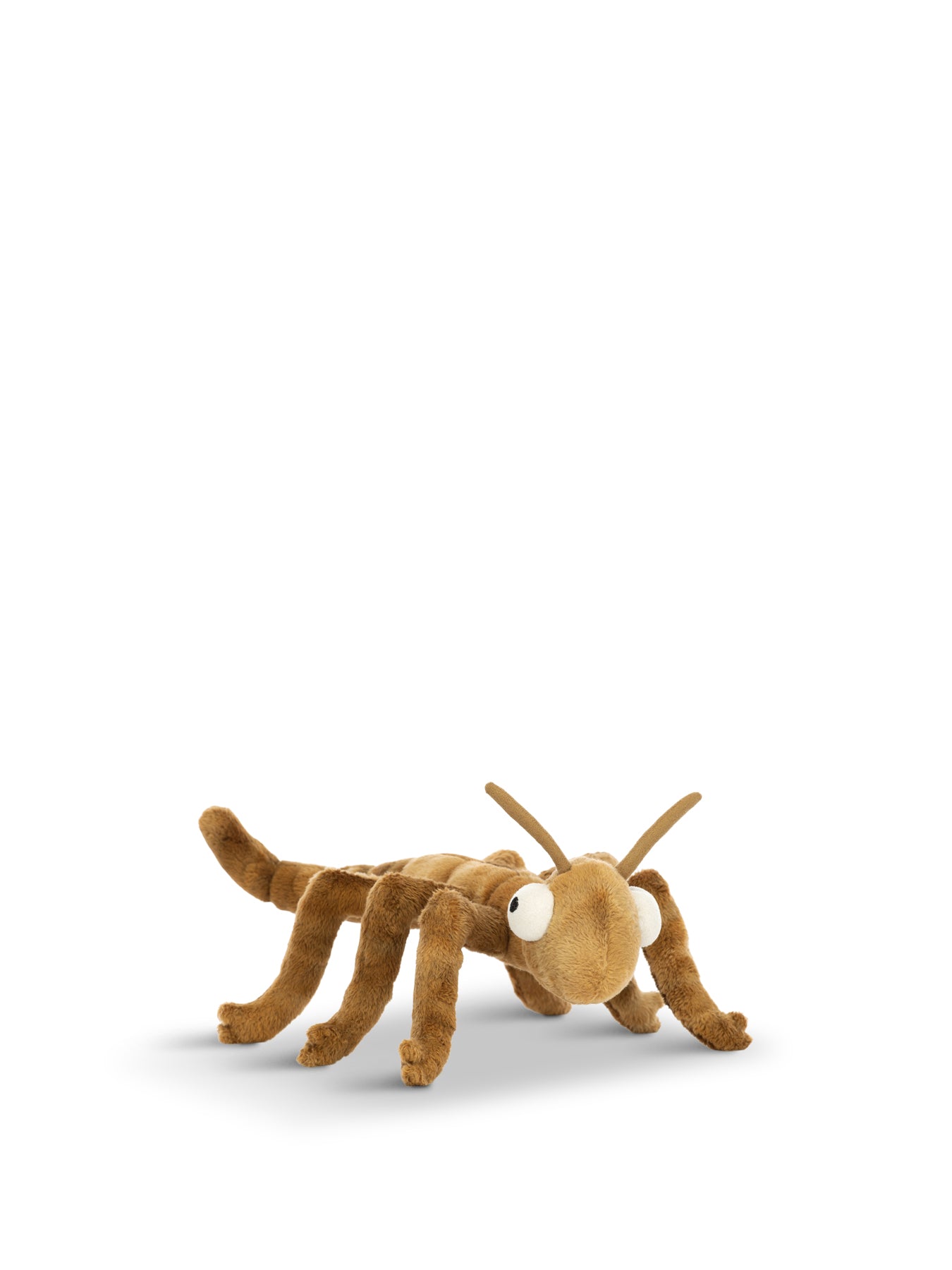 Stanley Stick Insect
