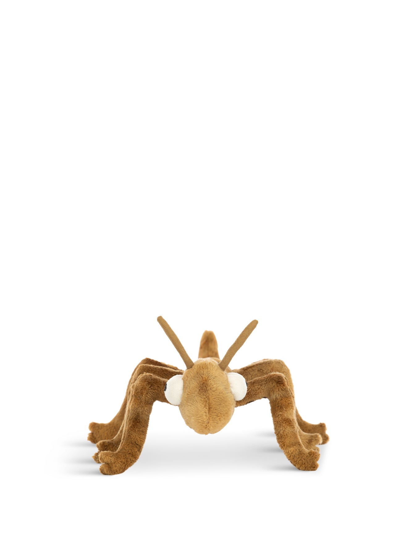 Stanley Stick Insect