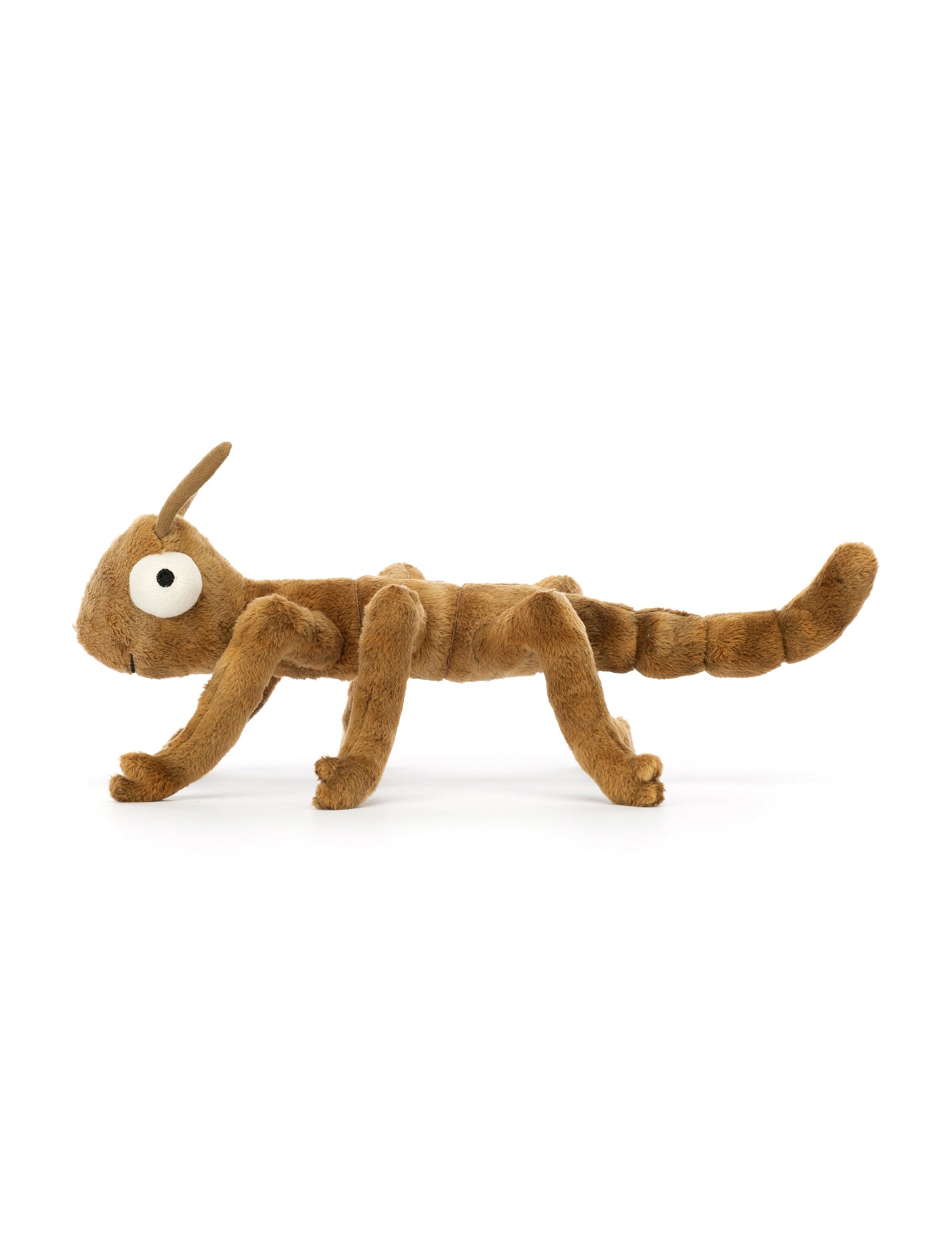 Stanley Stick Insect