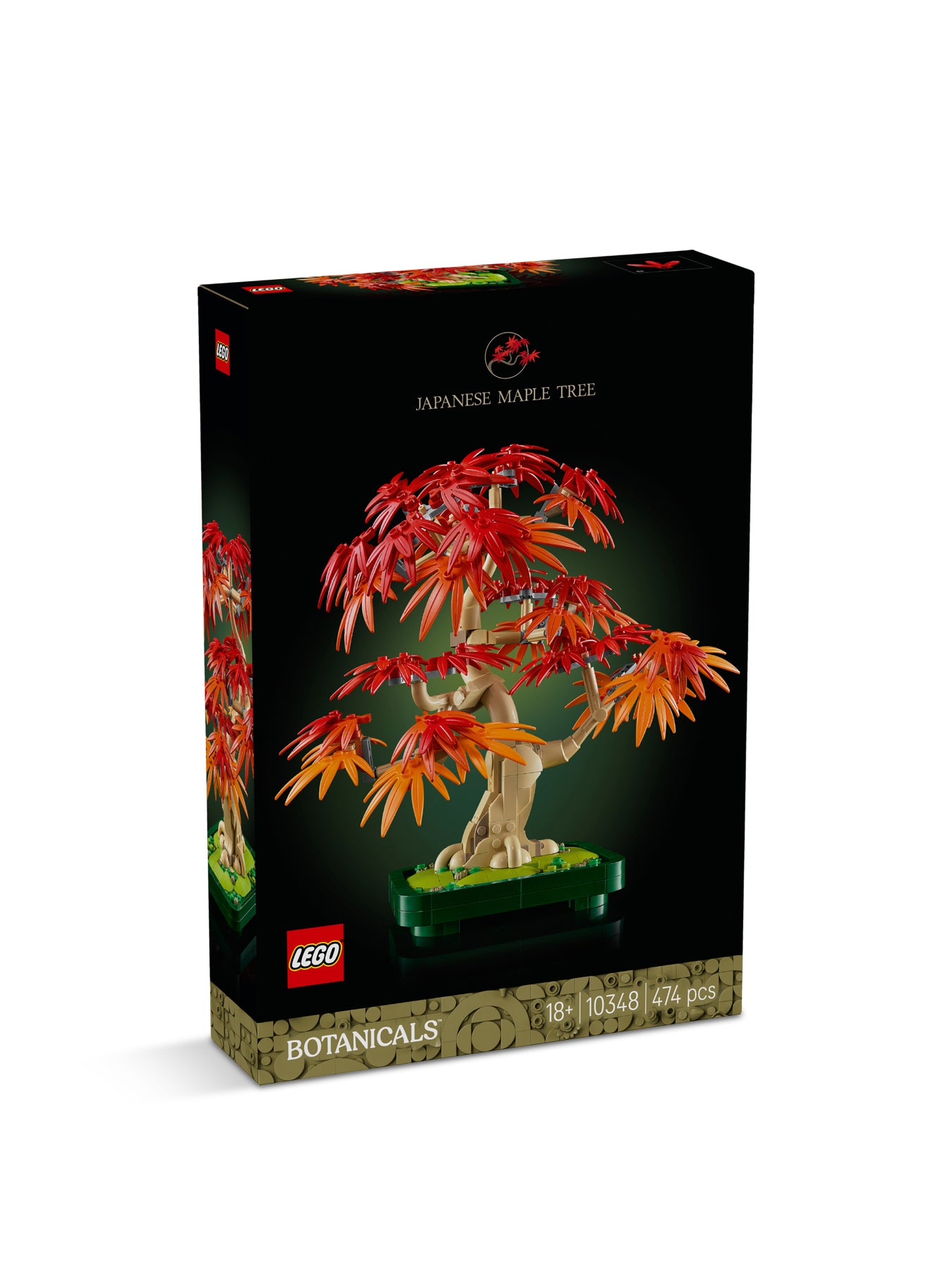 10348 Japanese Red Maple Bonsai Tree