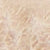 24 light brown