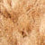 09 Brown