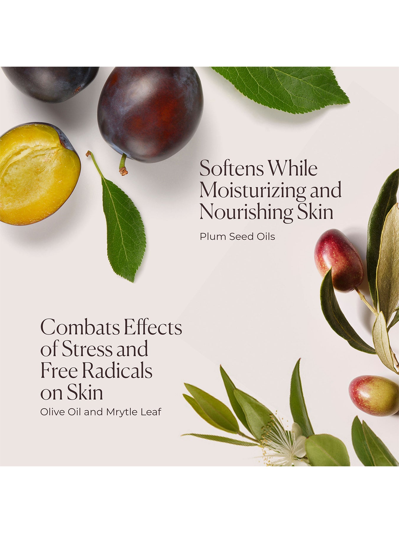 Hydrating Body Wash