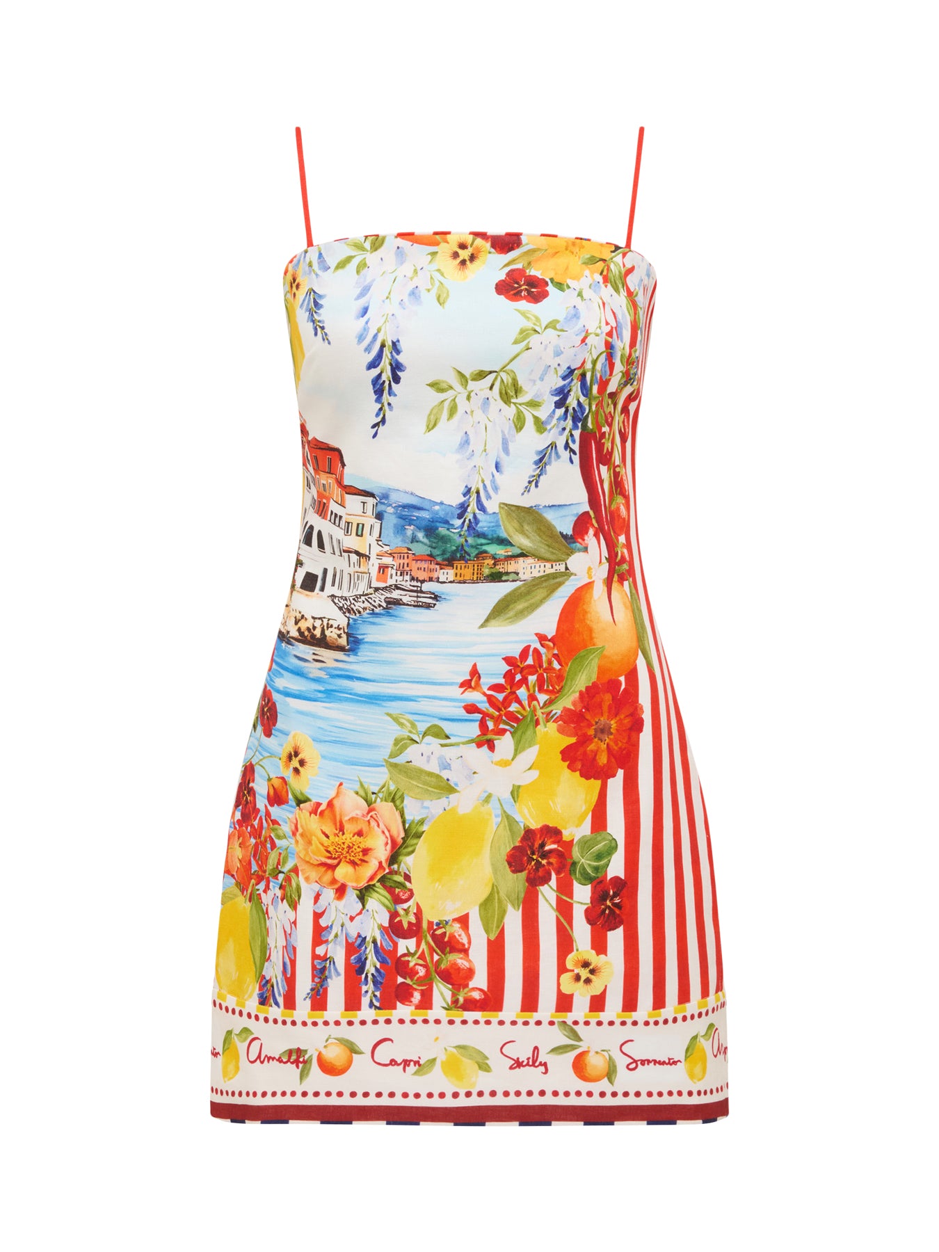 Sierra Printed Mini Dress