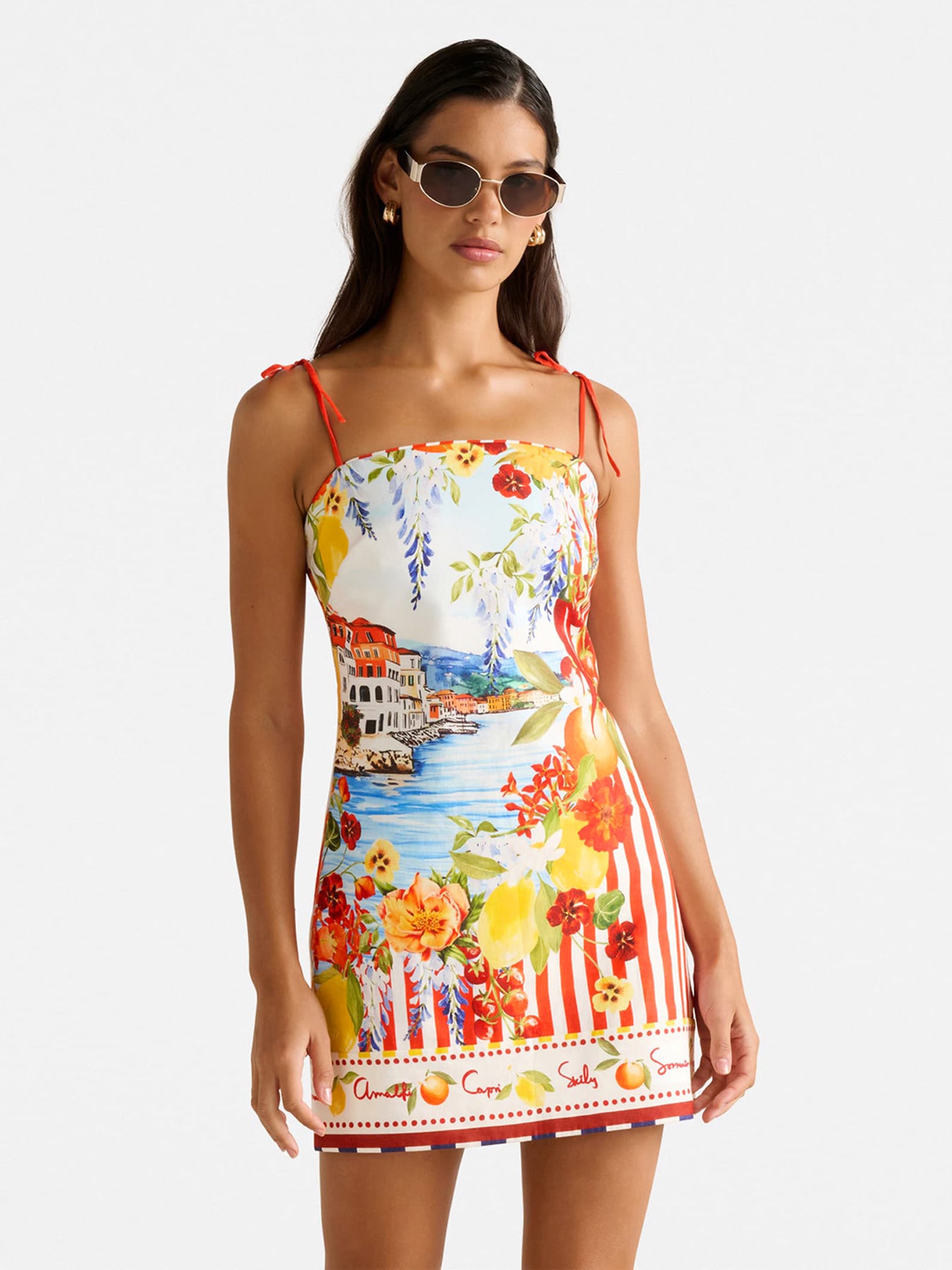 Sierra Printed Mini Dress