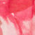 Red Lyell Floral