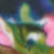 Aracati Multicolor