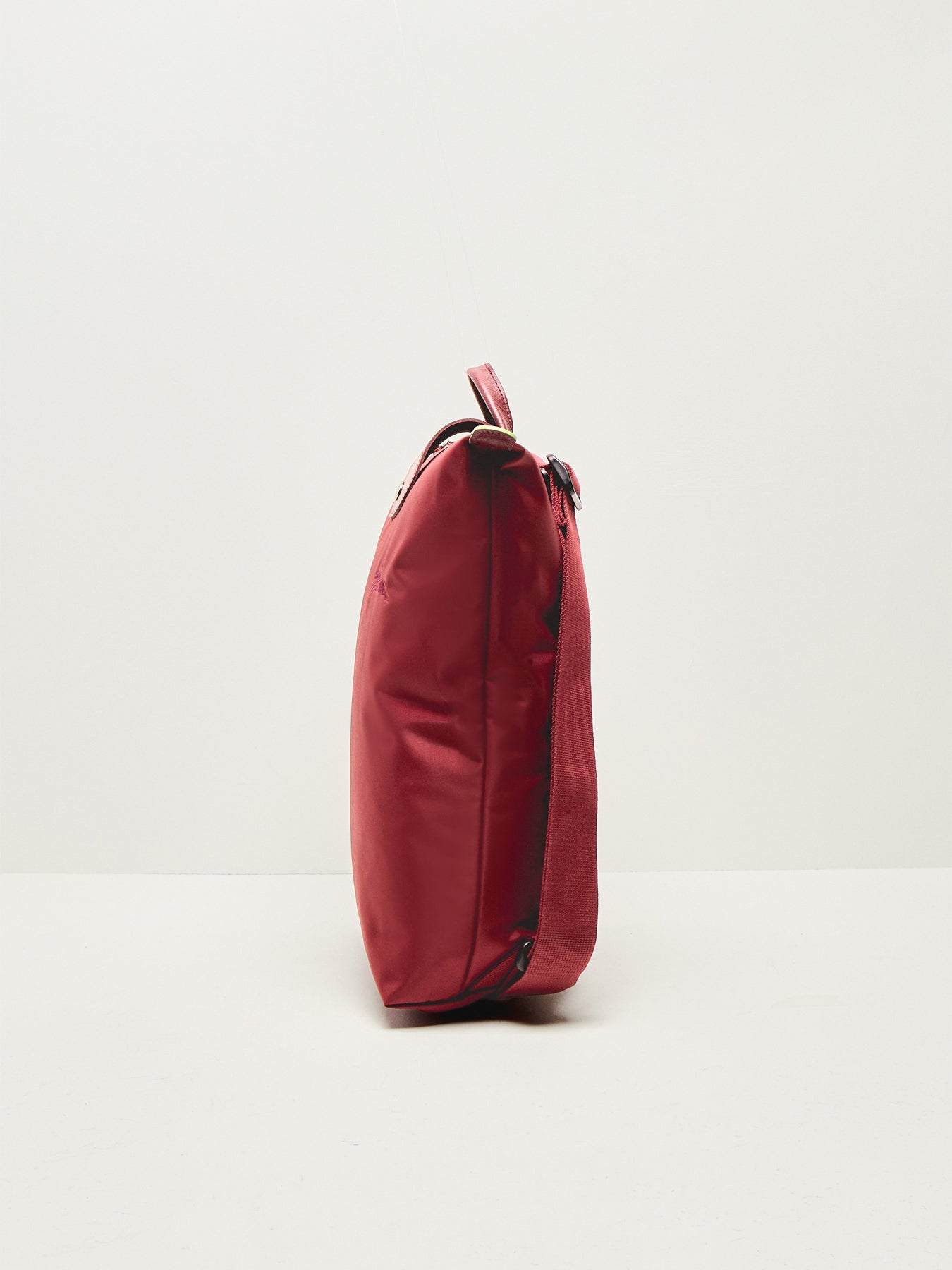 Le Pliage Green Medium Backpack Pomegranate Canvas