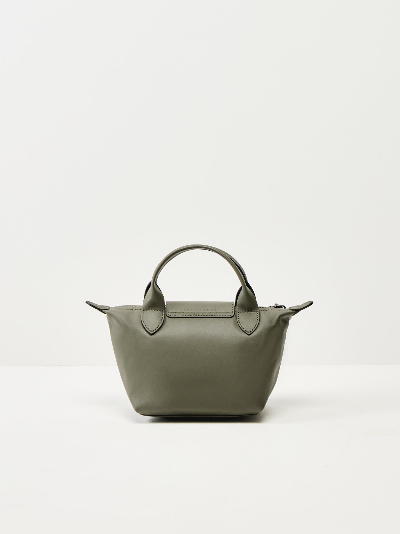 Le Pliage Extra Small Handbag Fir Leather