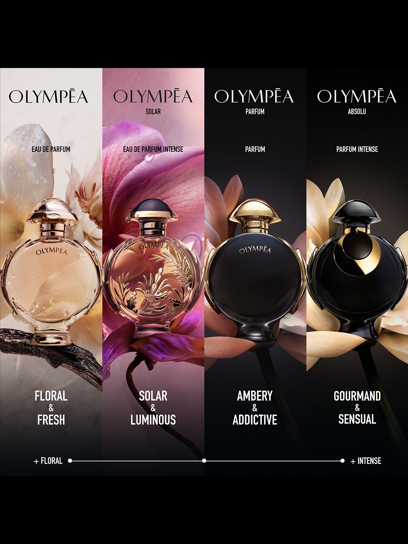 Olympea Absolu Parfum Intense 50ml