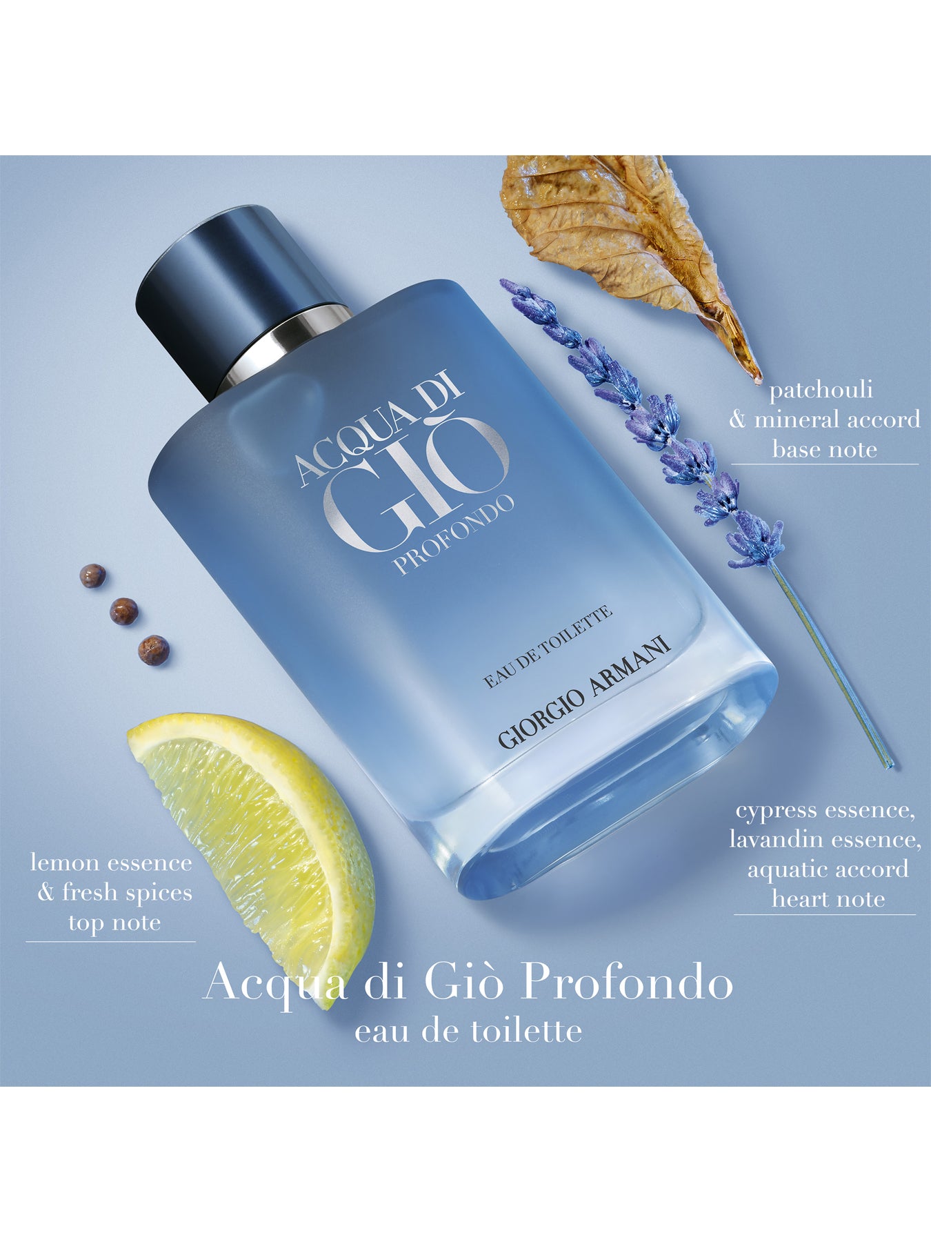 Acqua Di Gio Profondo Eau de Toilette 100ml