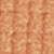 NC45