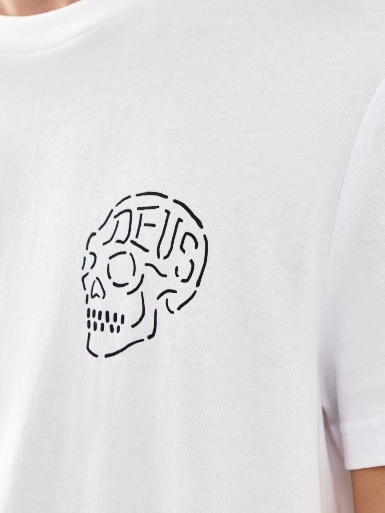 Venice Skull
