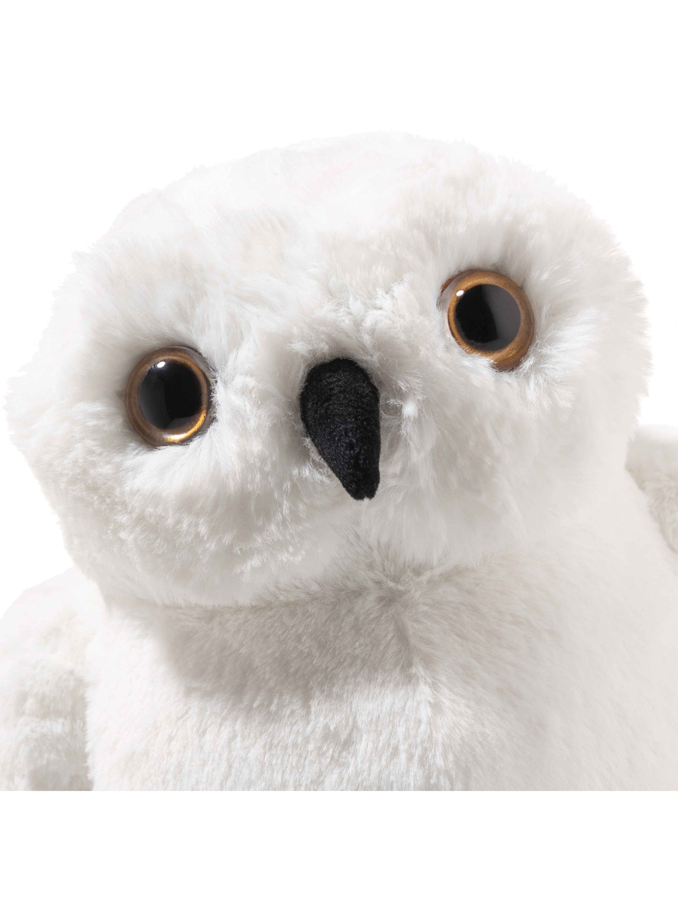 Hedwig Owl