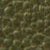 b4/olive
