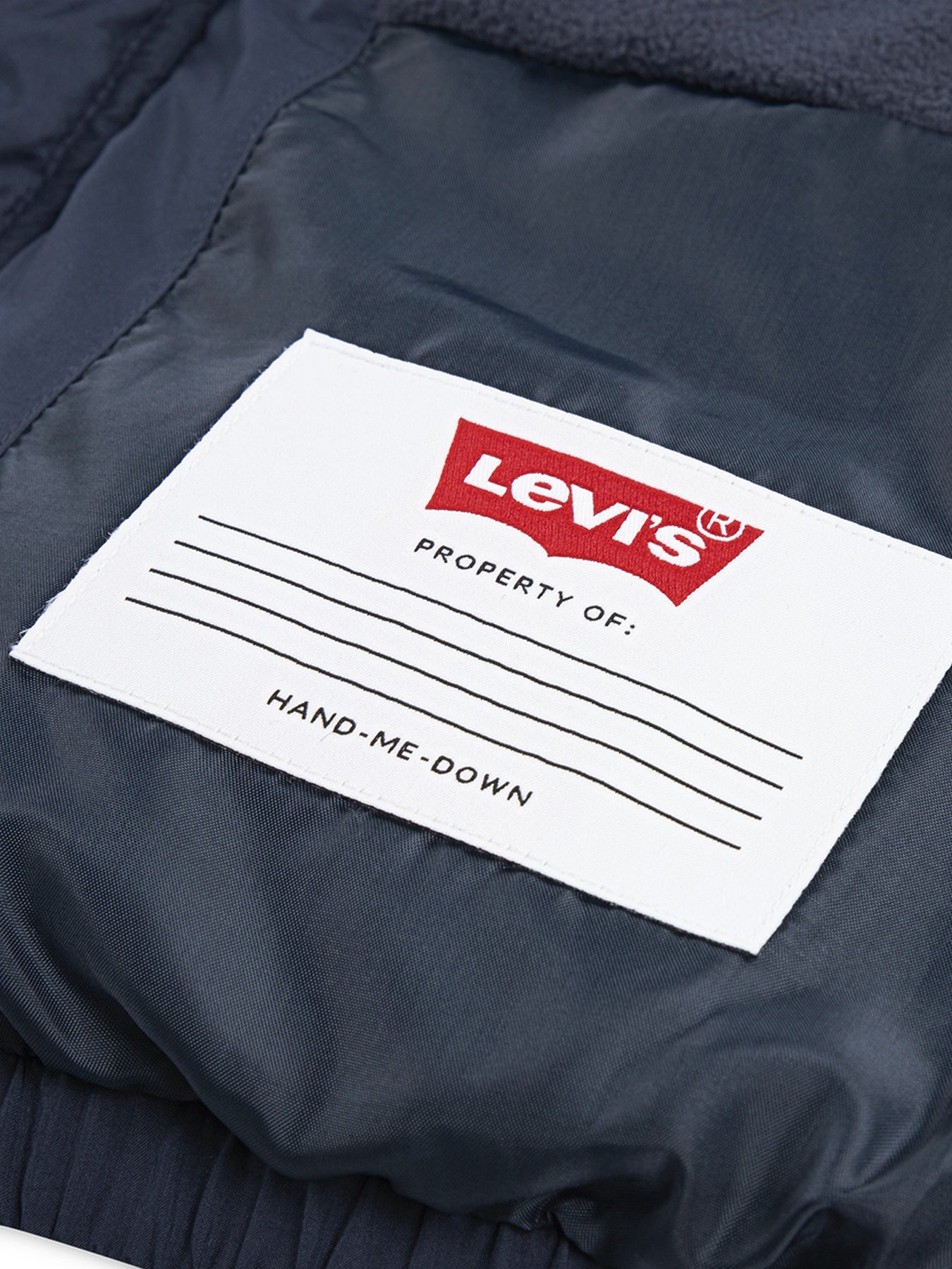 Puffer Jacket With Hoddie Logo Blue