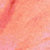 Pink Lyell Floral
