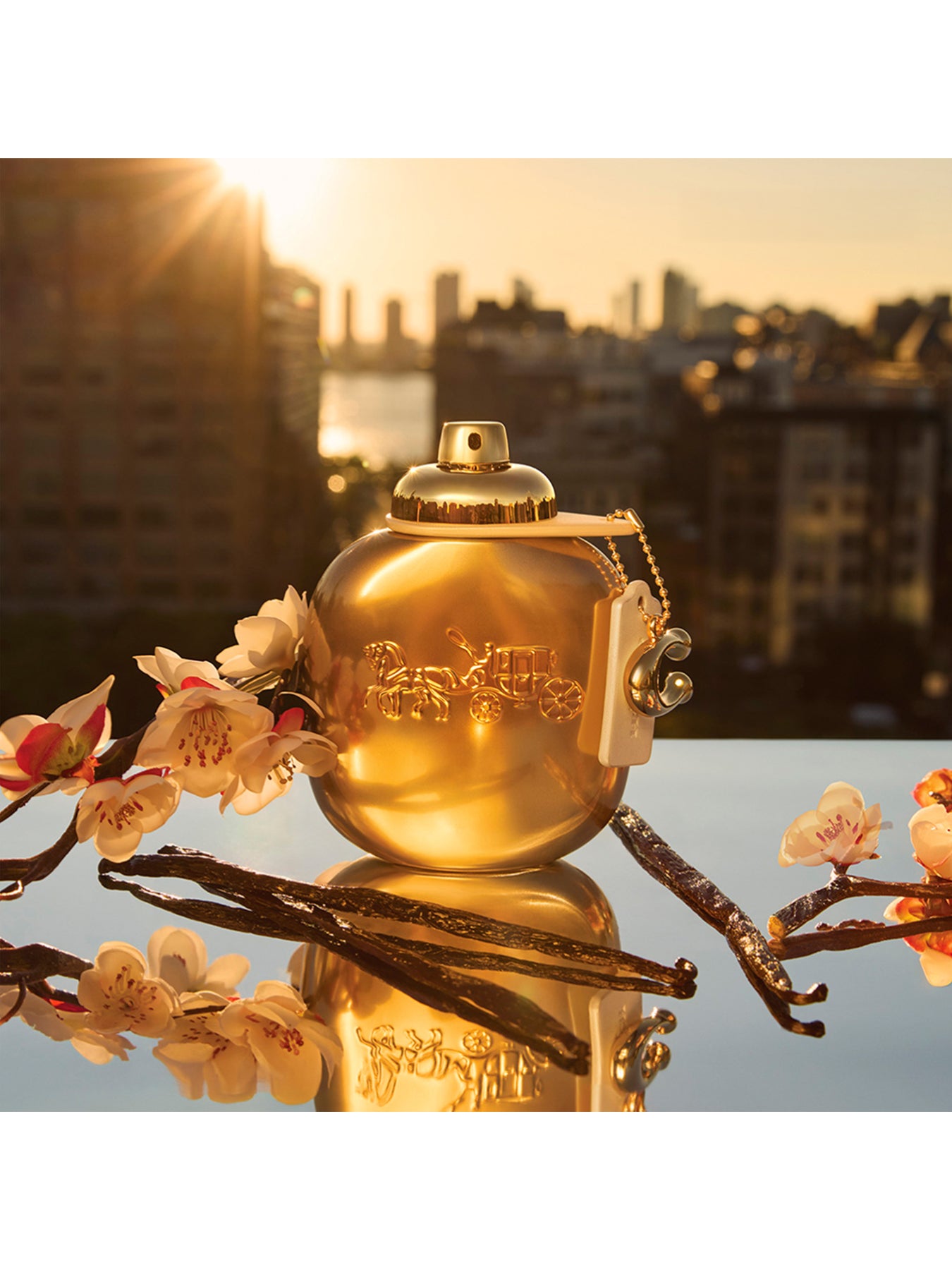 Coach Gold Parfum 50ml