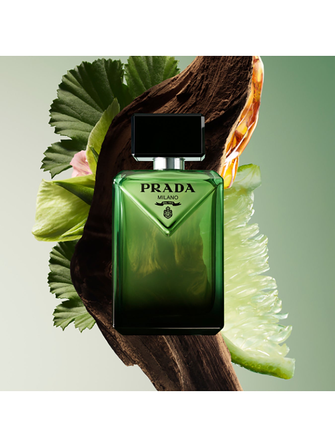 Paradigme Eau de Parfum 50ml