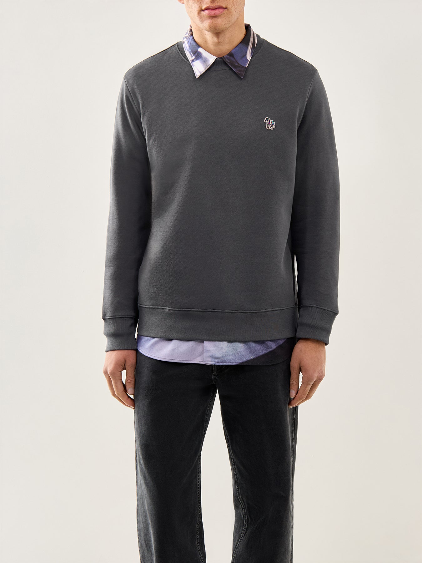 Zebra Logo Sweatshirt Grey