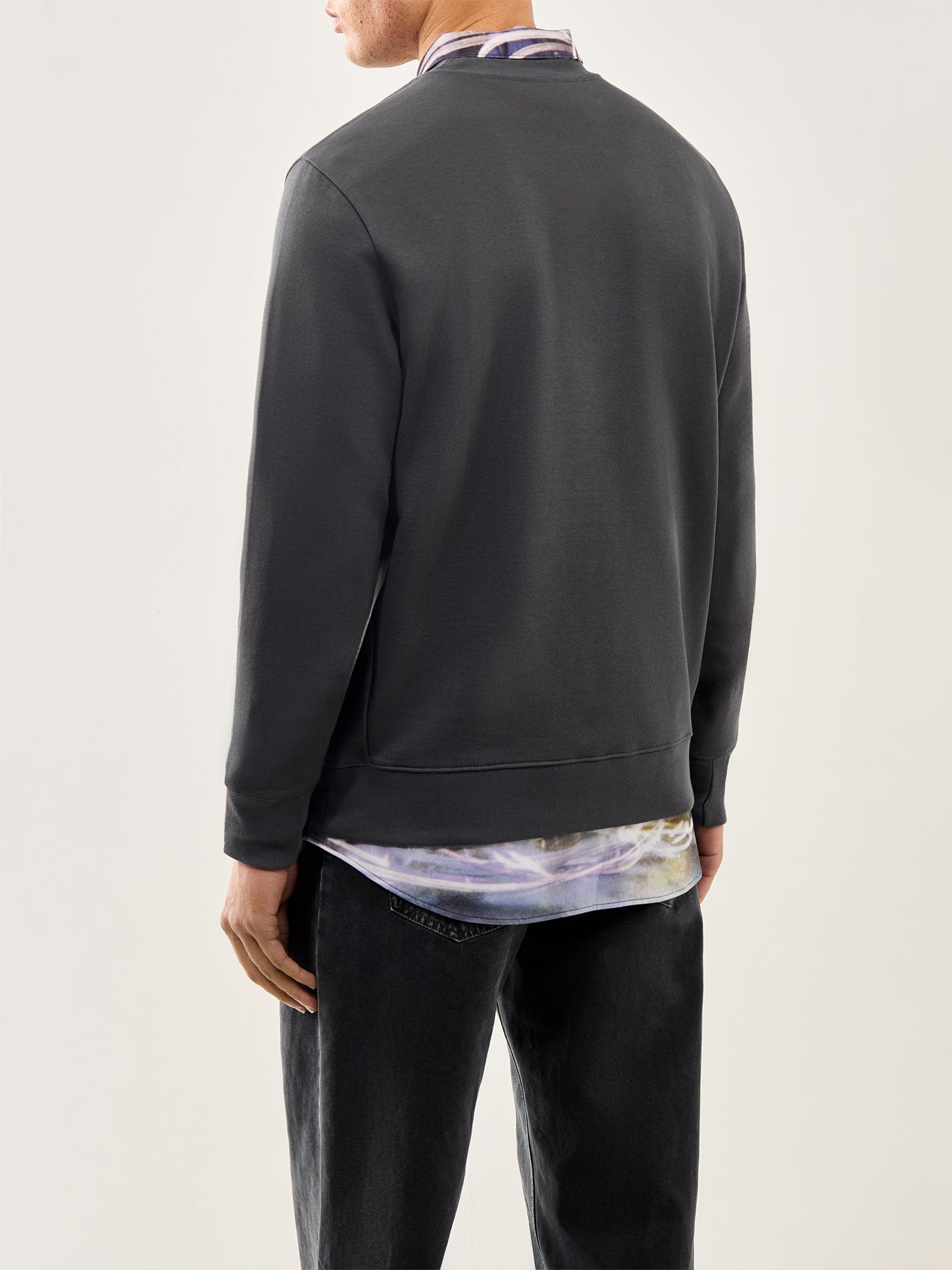 Zebra Logo Sweatshirt Grey