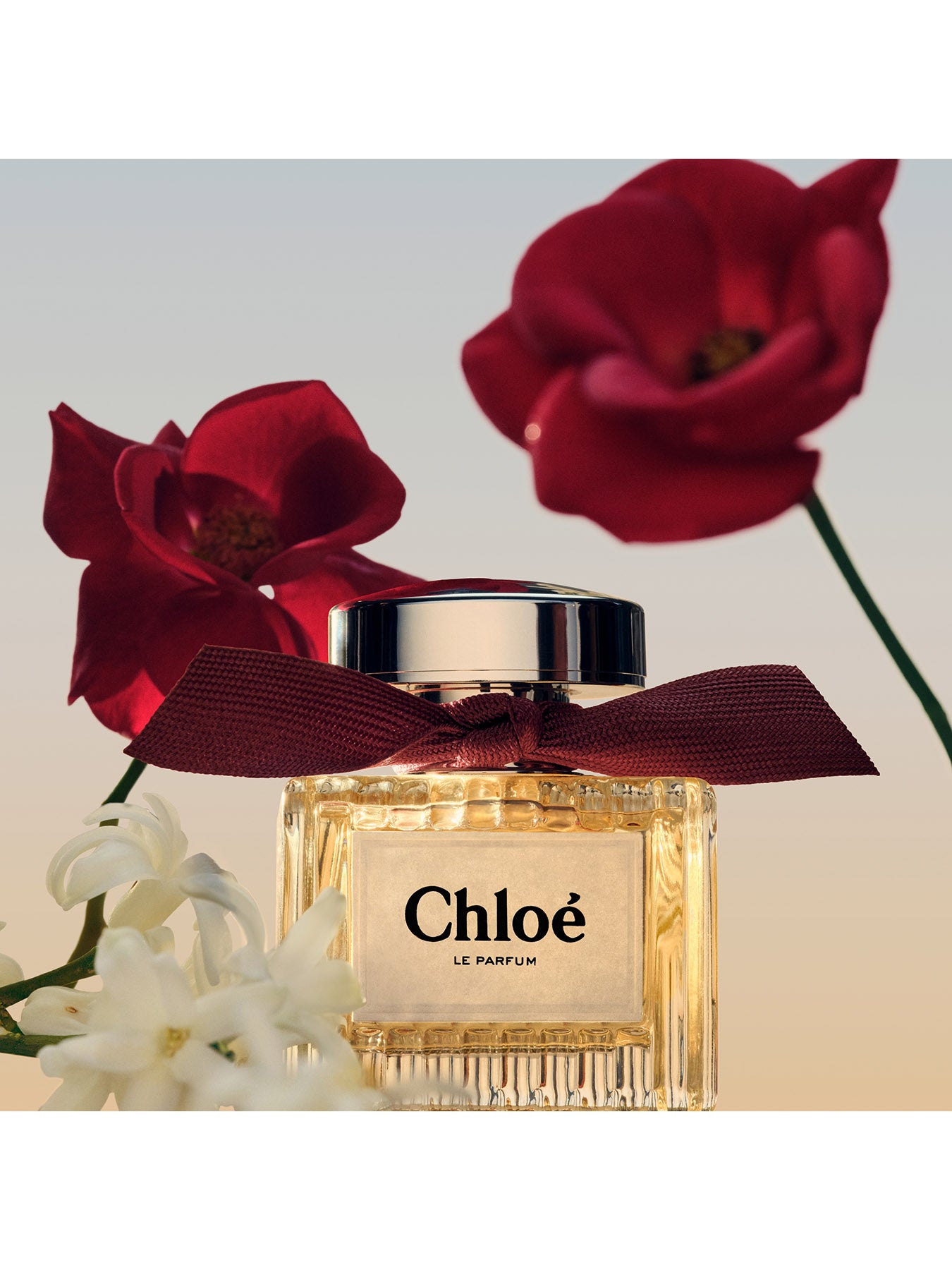Chloe Le Parfum 100ml Eau de Parfum