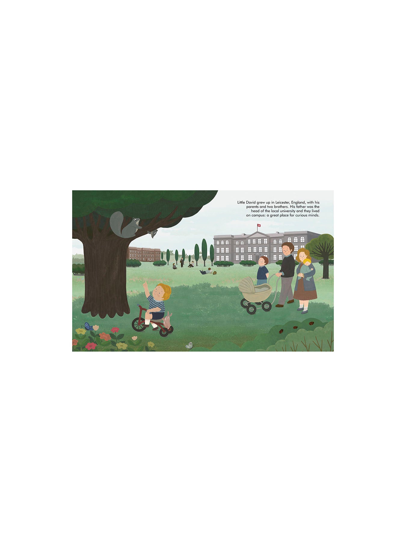 Little People Big Dreams David Attenborough