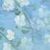 Cerulean