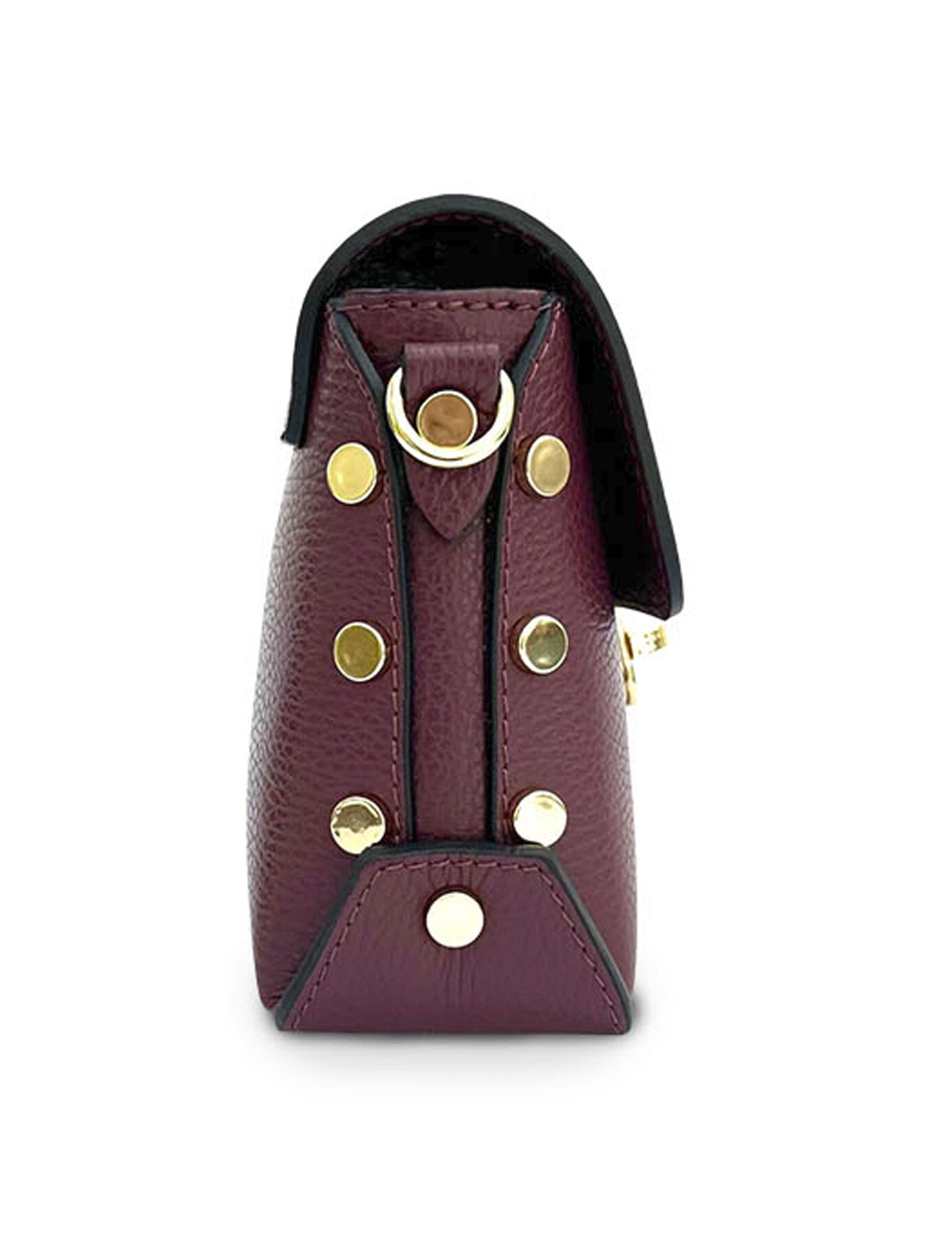 The Bloxsome Leather Crossbody Bag