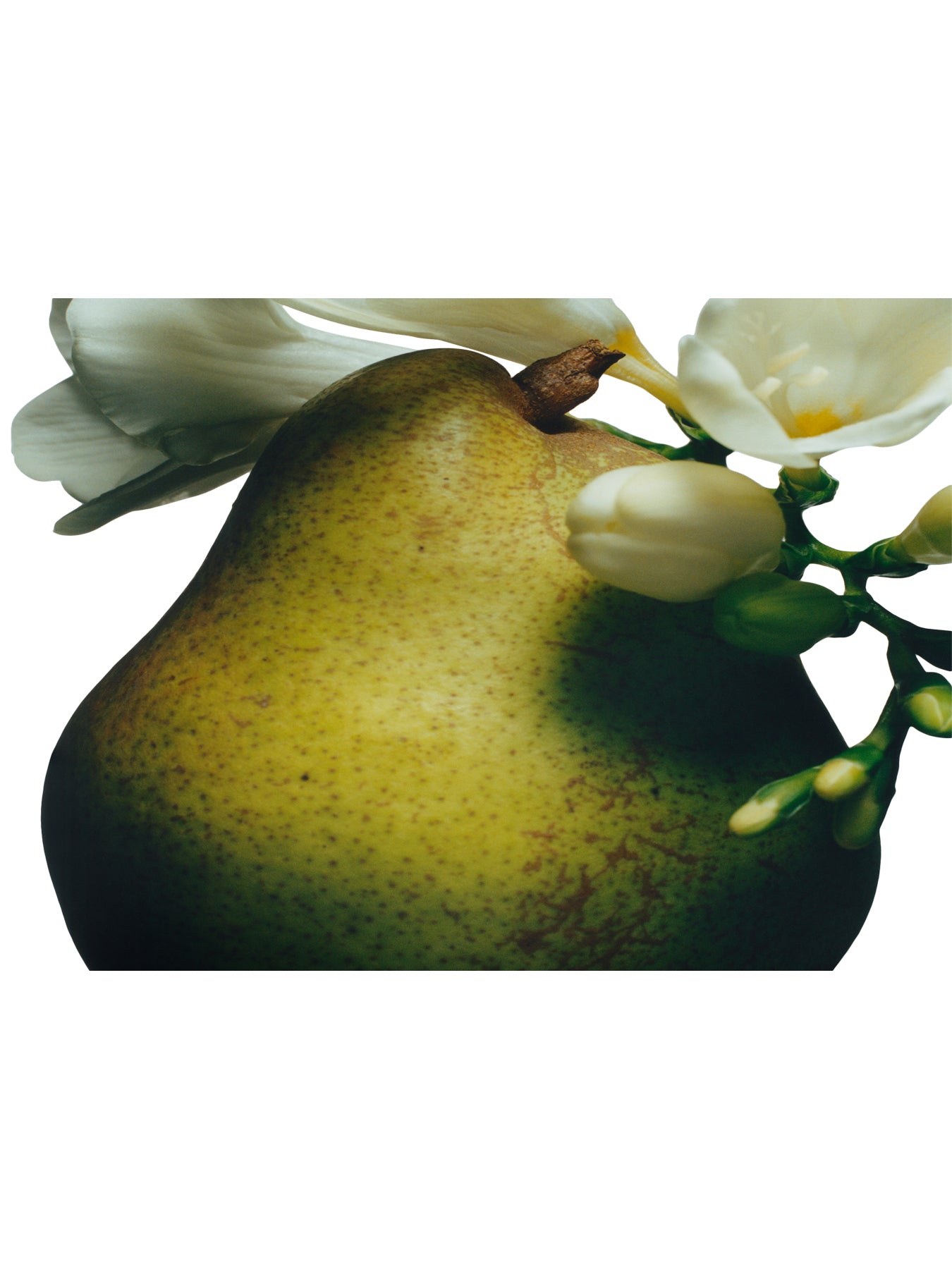 English Pear & Freesia Exfoliating Shower Gel 75ml