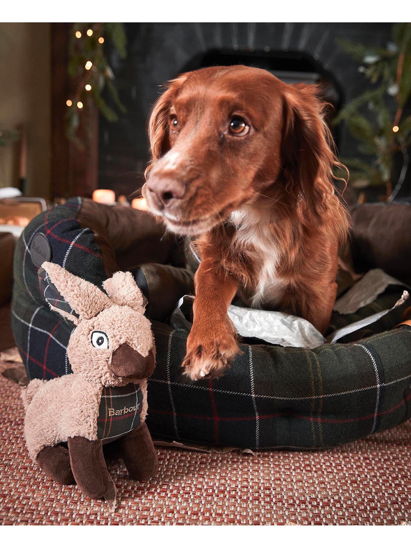Rabbit Dog Toy