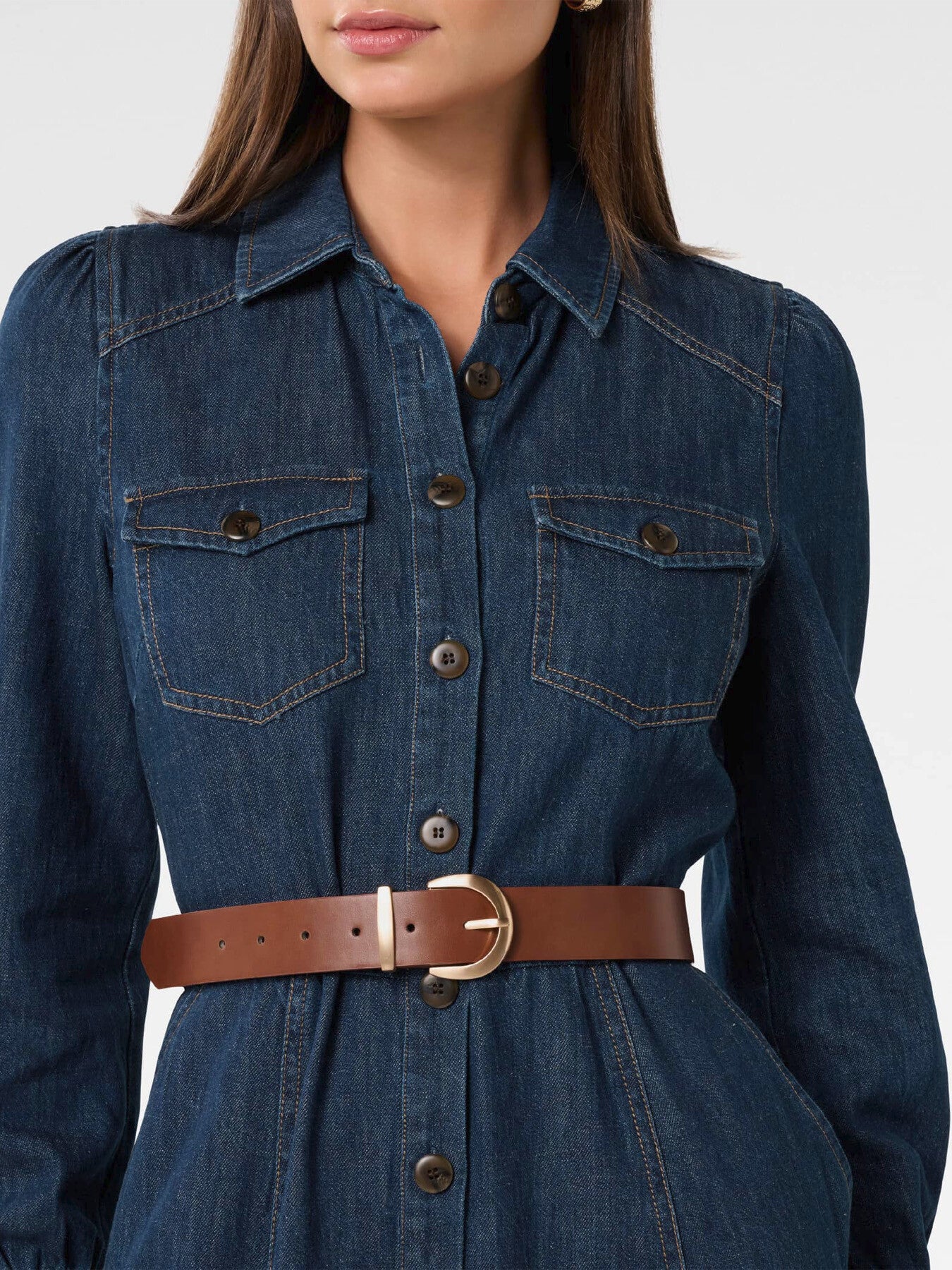 Elizabeth Denim Dress