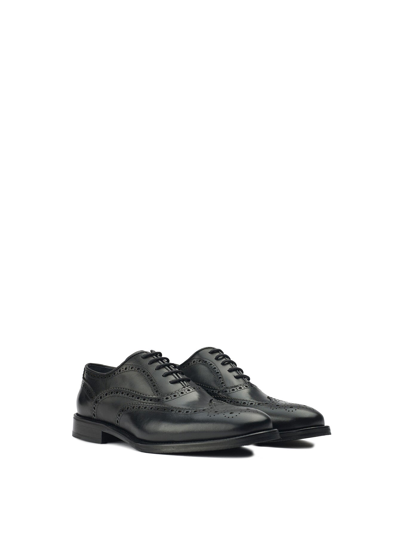SOLE Elcho Brogue Shoes