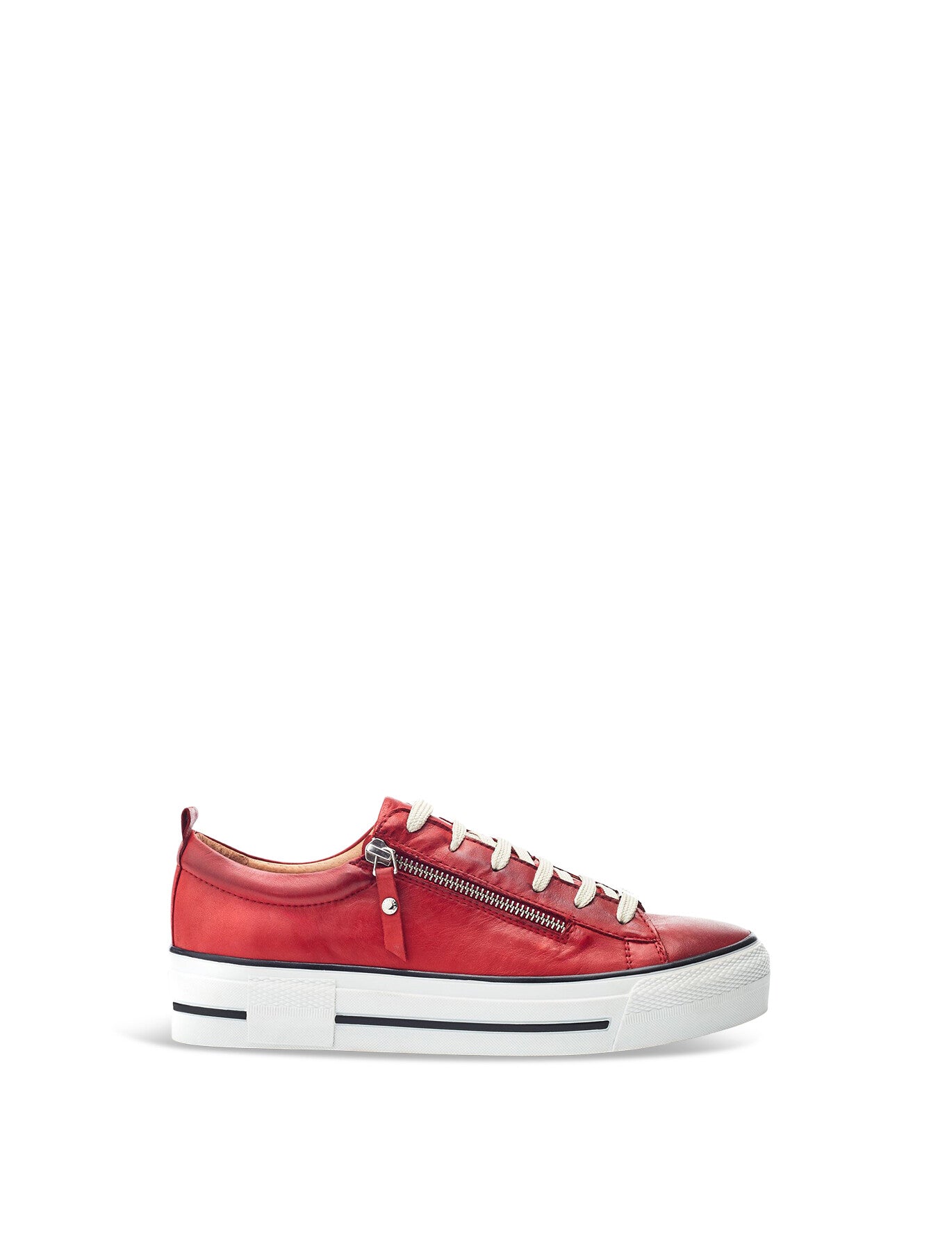 Filician Trainers