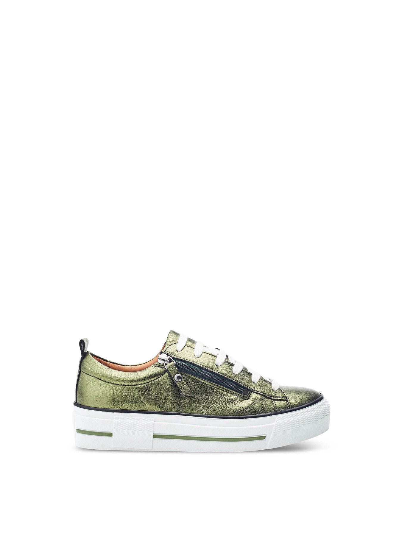 Filician Trainers