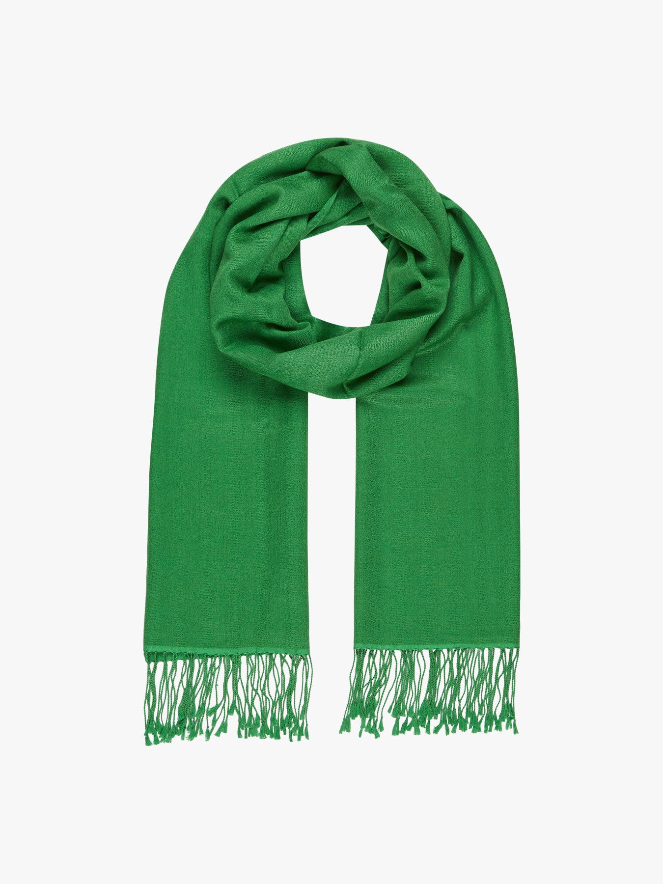 Long Tassel Pashima Stole