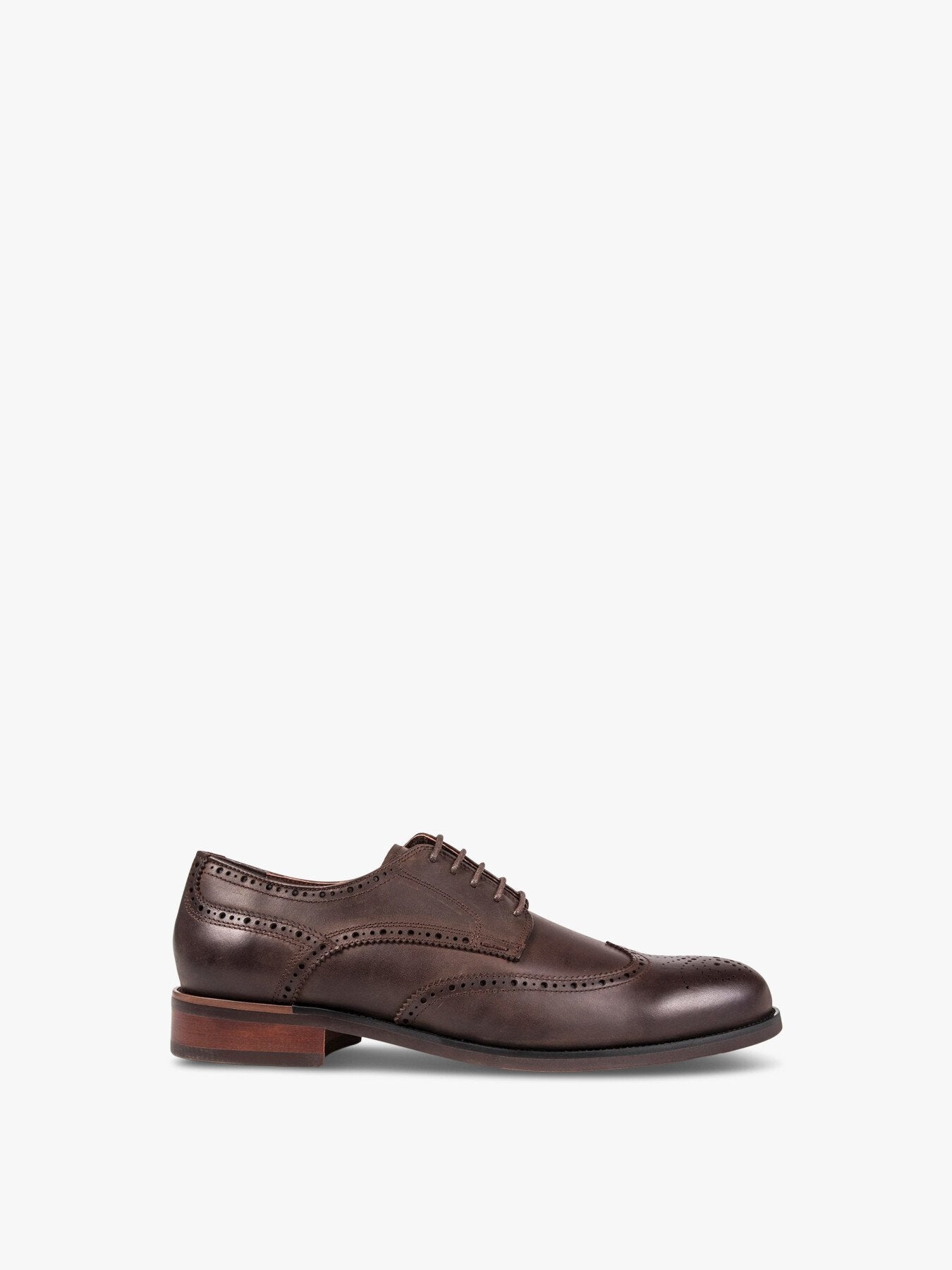 SOLE Manton Brogue Shoes