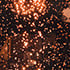 Copper Glass