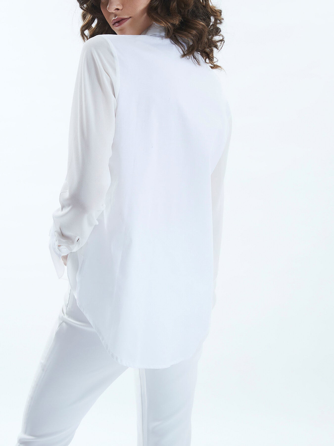 Sheer Sleeve Ruffle Shirt