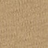 Safari Canvas