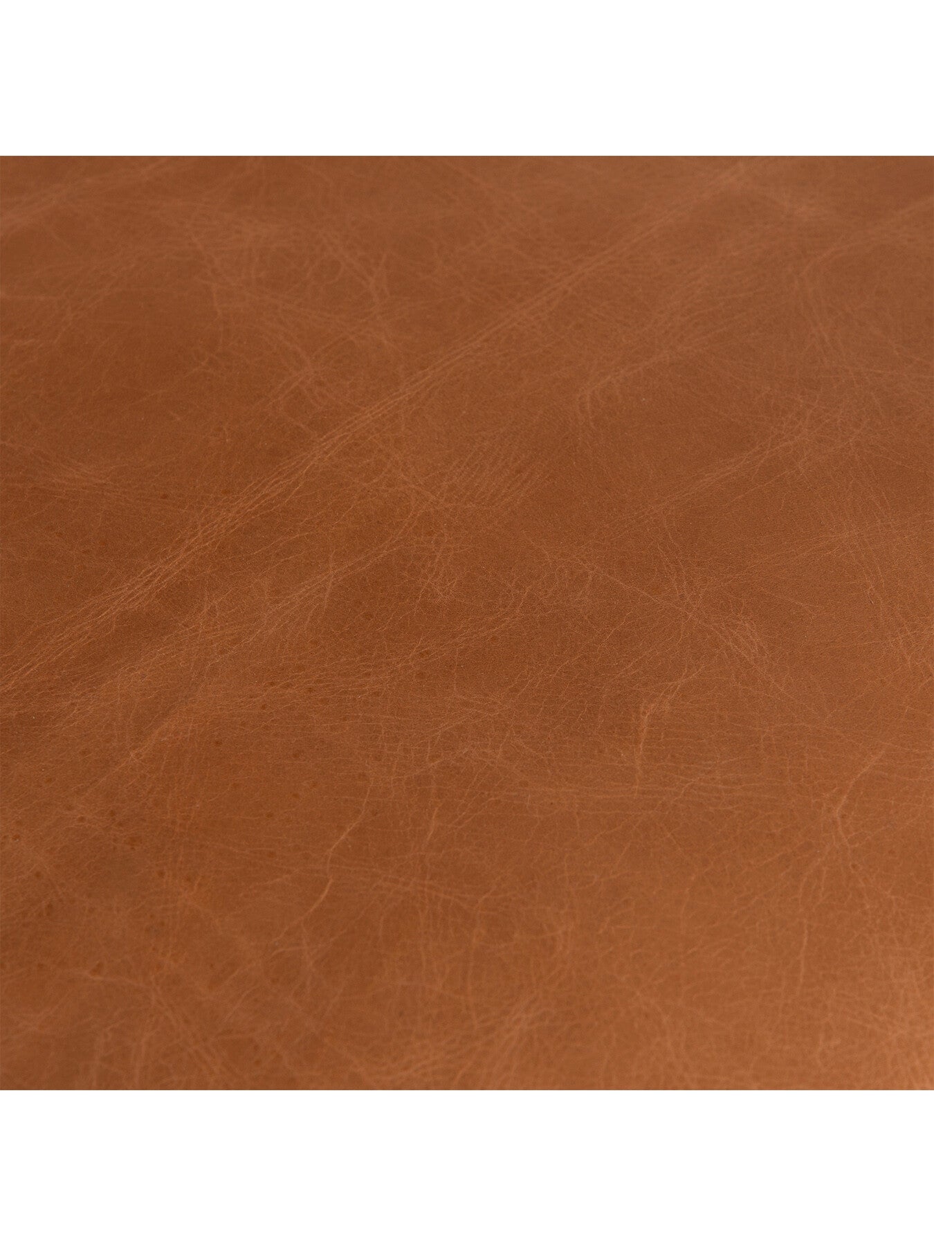 Dove Tan Leather Dining Chair