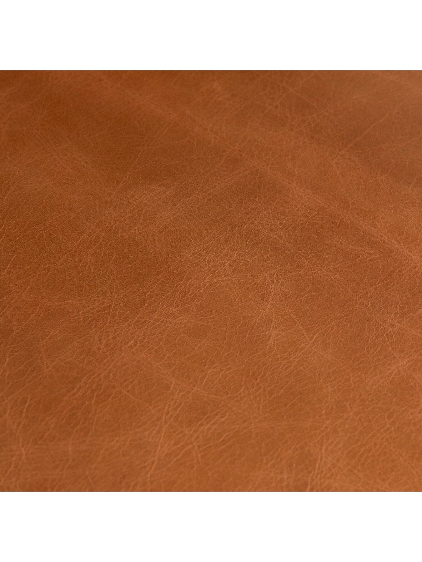 Rogan Tan Leather Dining Chair
