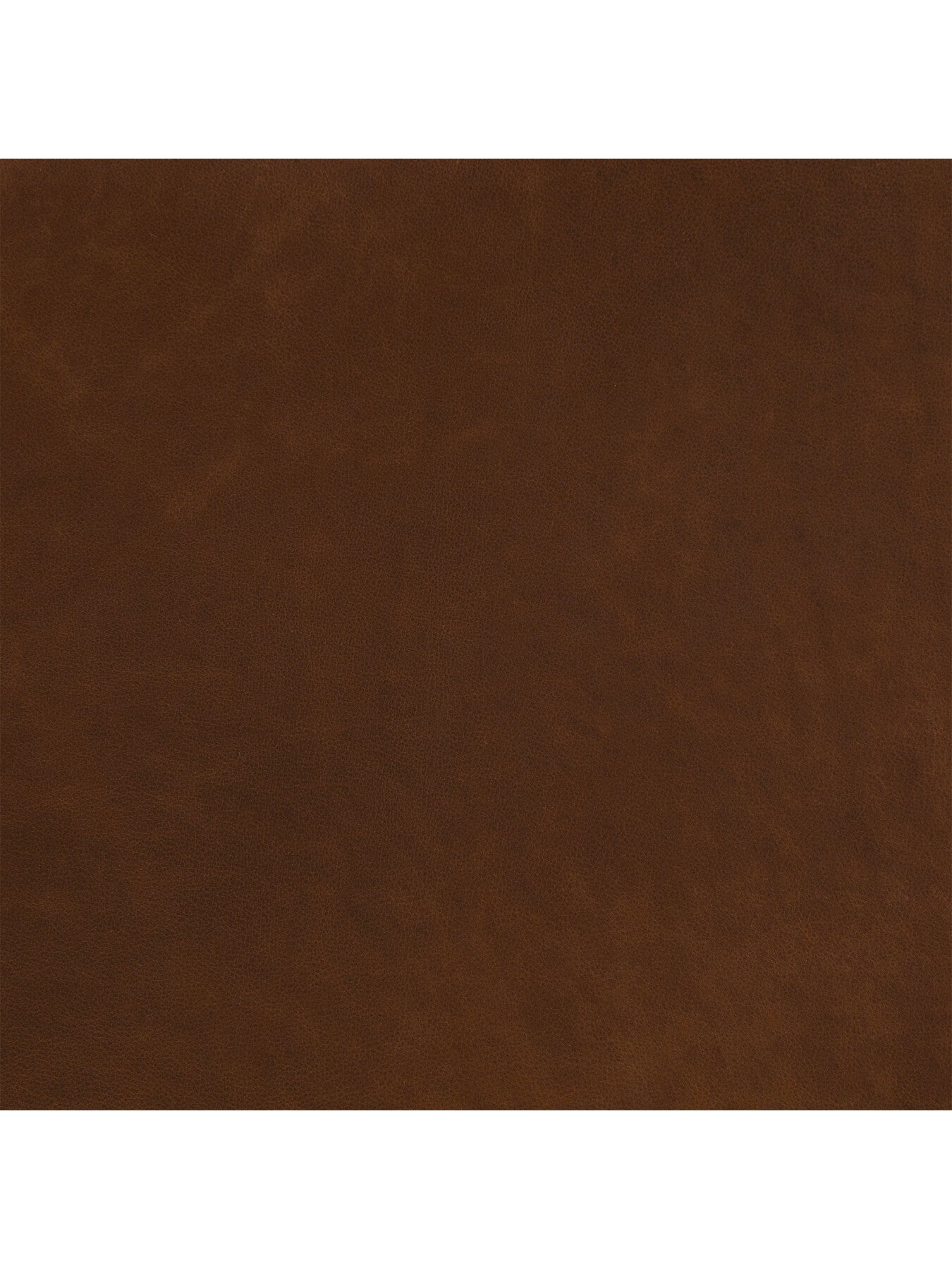 Acacia Leather Armchair