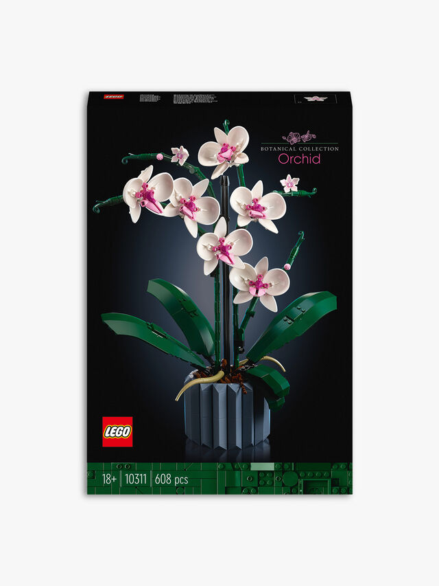 Orchid Plant and Flowers Set for Adults 10311